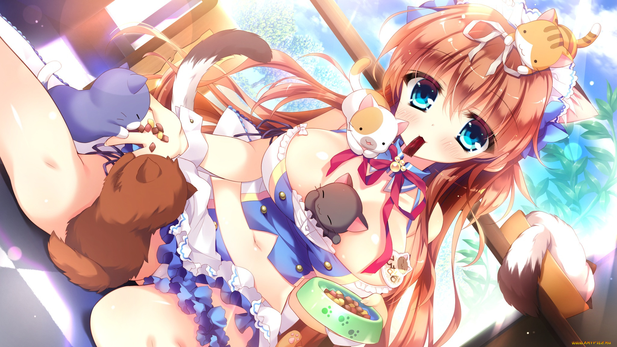wan nyan a la mode, , ,  , nekojou, hinana, , , wori